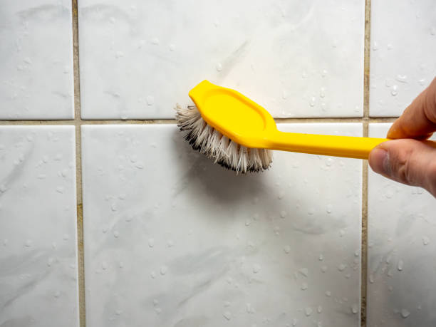 Best Affordable Mold Removal  in Roebuck, SC