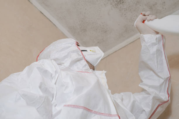 Best Residential Mold Removal  in Roebuck, SC