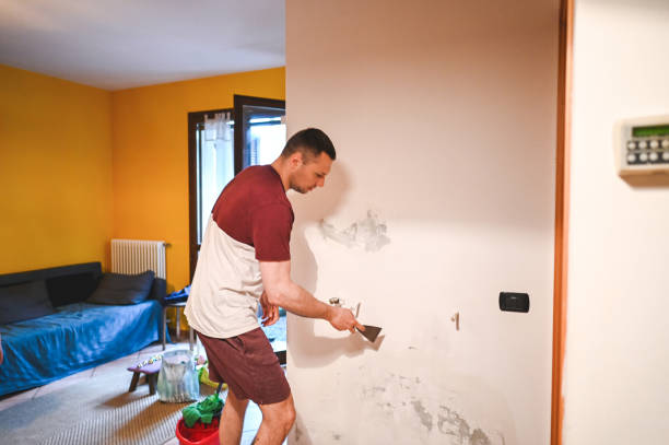 Best Home Mold Removal  in Roebuck, SC